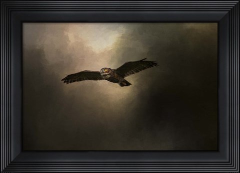 Framed Night of The Owl 2 Print