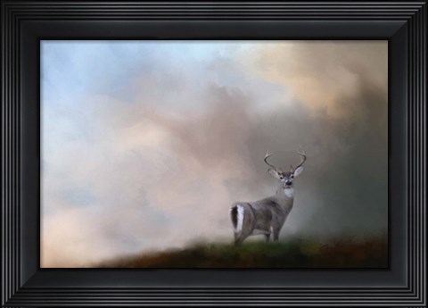Framed Buck On The Hill Print