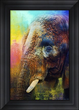 Framed Colorful Expressions Elephant Print