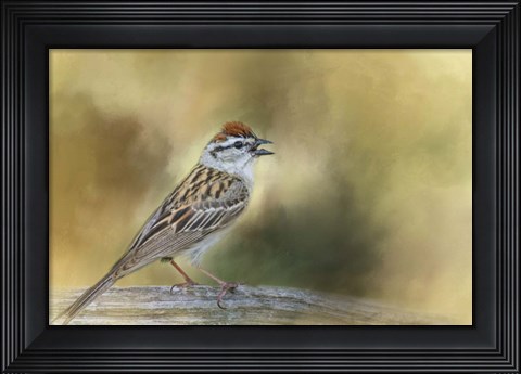 Framed Final Summer Song Print