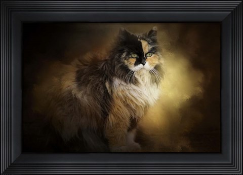 Framed Sitting In Autumn Print