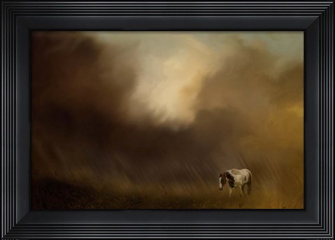 Framed Traveling Through The Storm Print