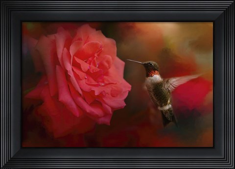 Framed After The Big Rose Print