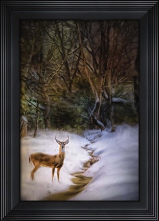 Framed Buck At Snowy Creek Print
