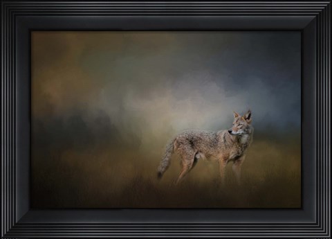 Framed Coyote At Shiloh Print