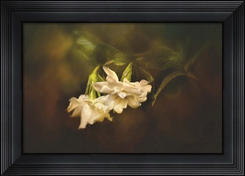 Framed Gardenia In The Garden Print