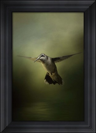 Framed Hummingbird Over Water Print