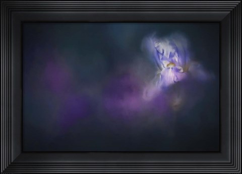 Framed Iris Whisper Print