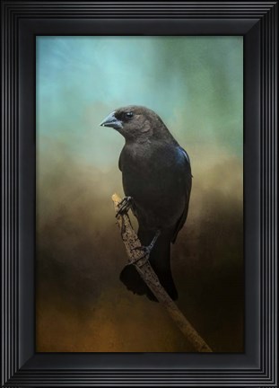 Framed Lazy Bird Print