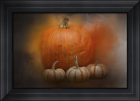 Framed Pumpkins In October Print