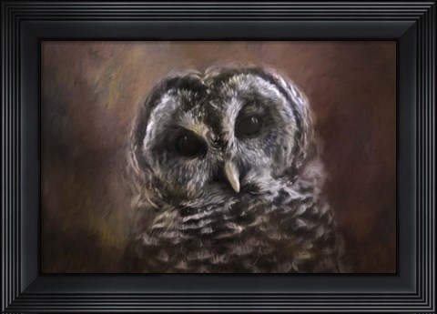 Framed Curious Owl Print