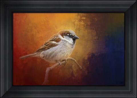 Framed Autumn Sparrow Print