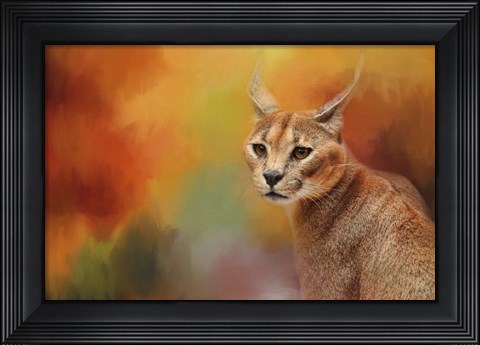 Framed Caracal In Autumn Print