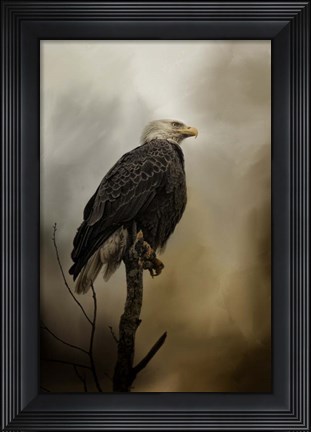 Framed Cold Day In March Print