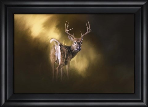 Framed Nine Pointer Print