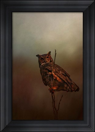 Framed Owl In The Marsh Print
