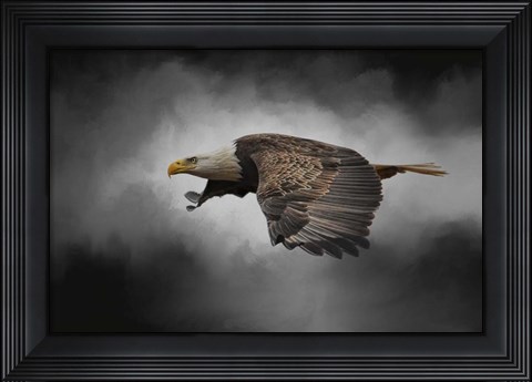 Framed Stormy Sky Flight Print