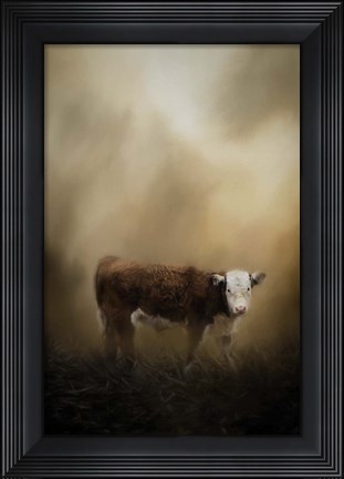 Framed Lone Calf Print