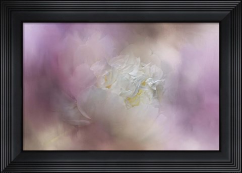 Framed White Peony 2 Print