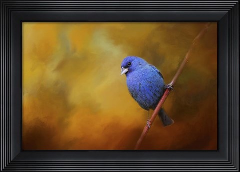 Framed Blue Bunting In Autumn Print