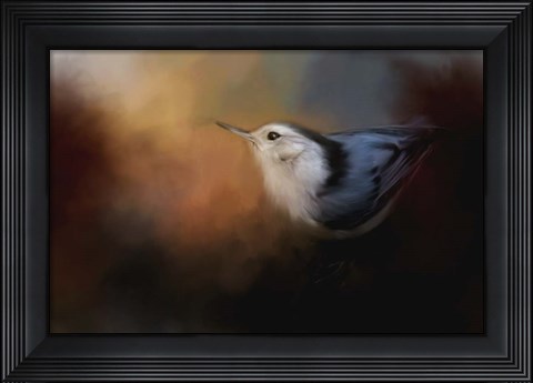 Framed Nuthatch In Autumn Print