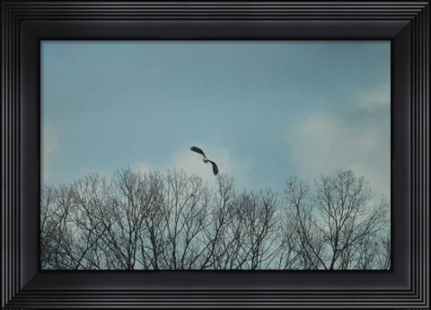 Framed Over The Treeline Print