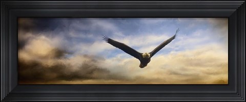 Framed Sunset Flight Print