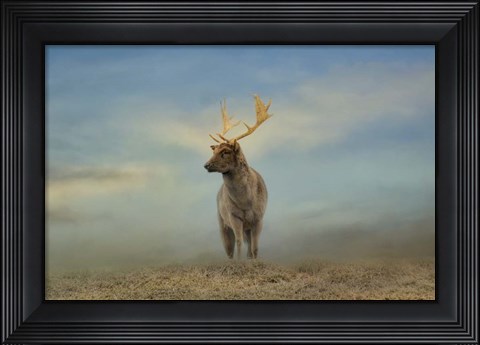 Framed Taking  In The View Print