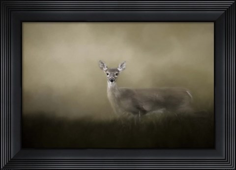 Framed Young and Alert Print