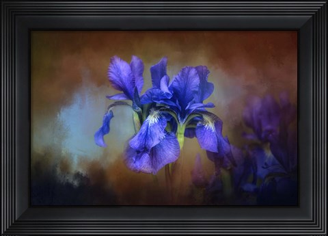 Framed Blue Iris Blooms Print