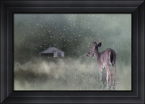 Framed Heading Home In The First Snow Print