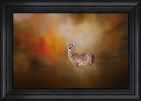 Framed Illuminated By The Autumn Light Print