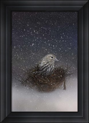 Framed Keeping Warm In My Nest Print