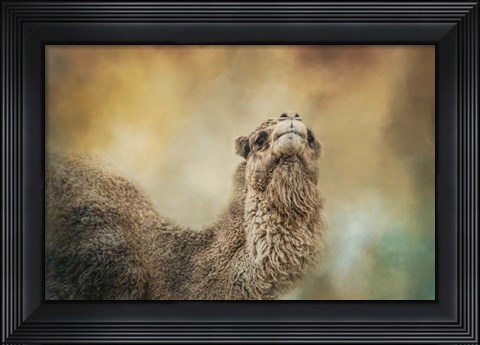 Framed Scent Of Fall Print