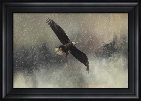 Framed Winter Flight Print