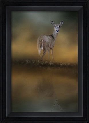 Framed Sunrise At The Pond Print