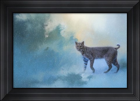 Framed Winter Bobcat Print