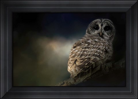 Framed Barred Owl On A Winter Night Print