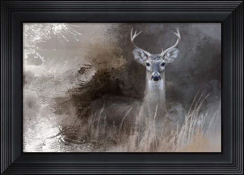 Framed Buck In The Shadows Print