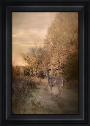 Framed Edge Of The Forest Print