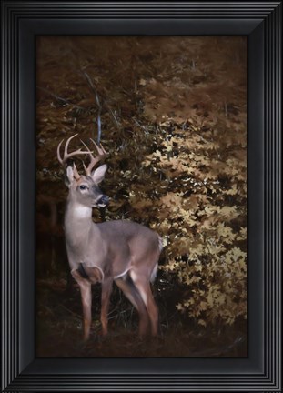 Framed Edge Of The Woods Print