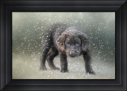 Framed Her First Snow Print