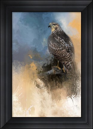 Framed Redtail In Winter Print