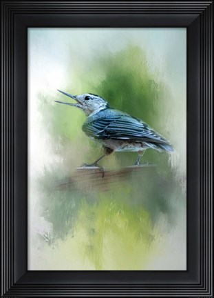 Framed Summer Nuthatch Print