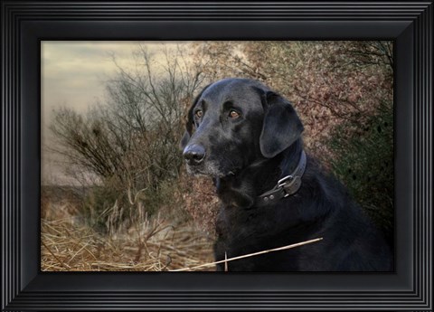 Framed Waiting For The Word Print