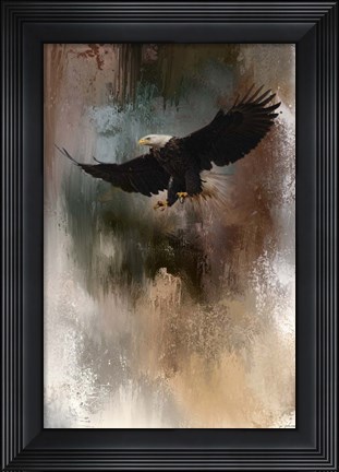 Framed Winter Eagle 1 Print