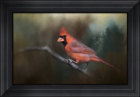 Framed Splash of Red Print