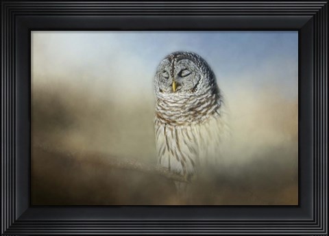 Framed Daydreaming Print