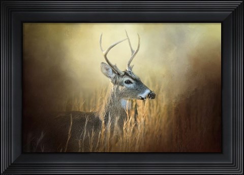 Framed Doe Chasing Print