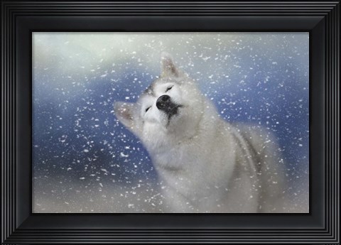 Framed My Favorite Thing About Winter Print